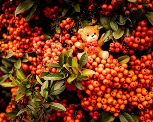 Preview wallpaper rowan, toy, bear, bunch, branches, berries