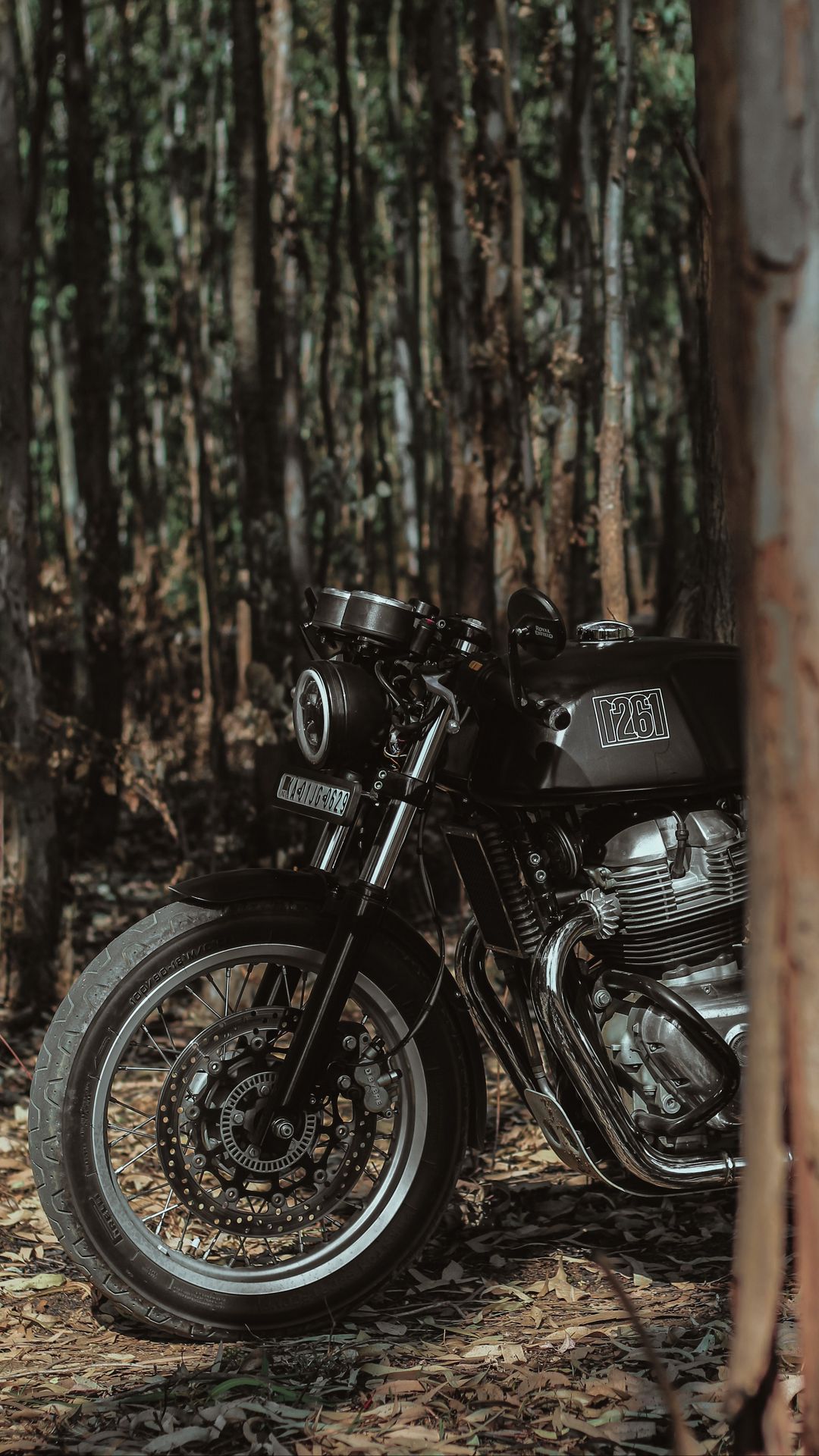 1080x1920 Wallpaper royal enfield, motorcycle, bike, black, forest
