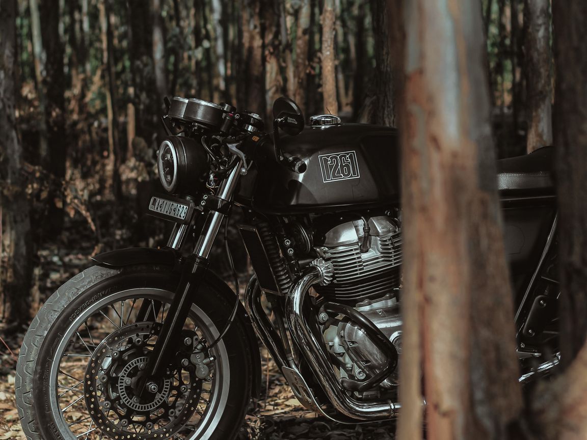 1152x864 Wallpaper royal enfield, motorcycle, bike, black, forest