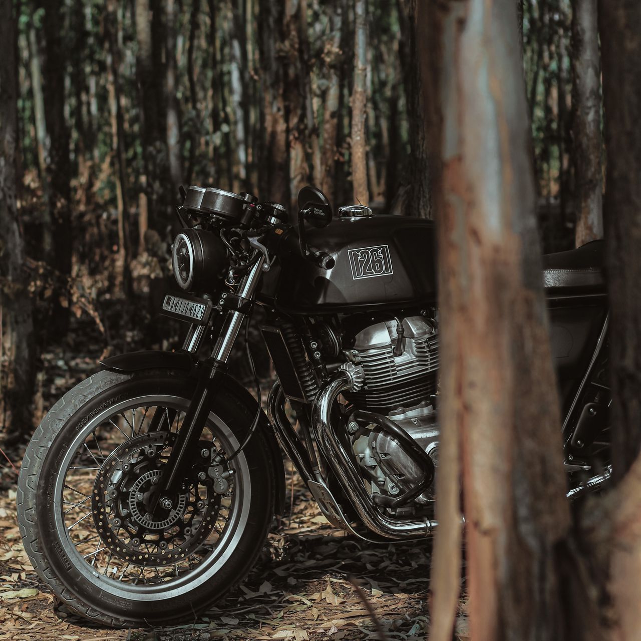 1280x1280 Wallpaper royal enfield, motorcycle, bike, black, forest