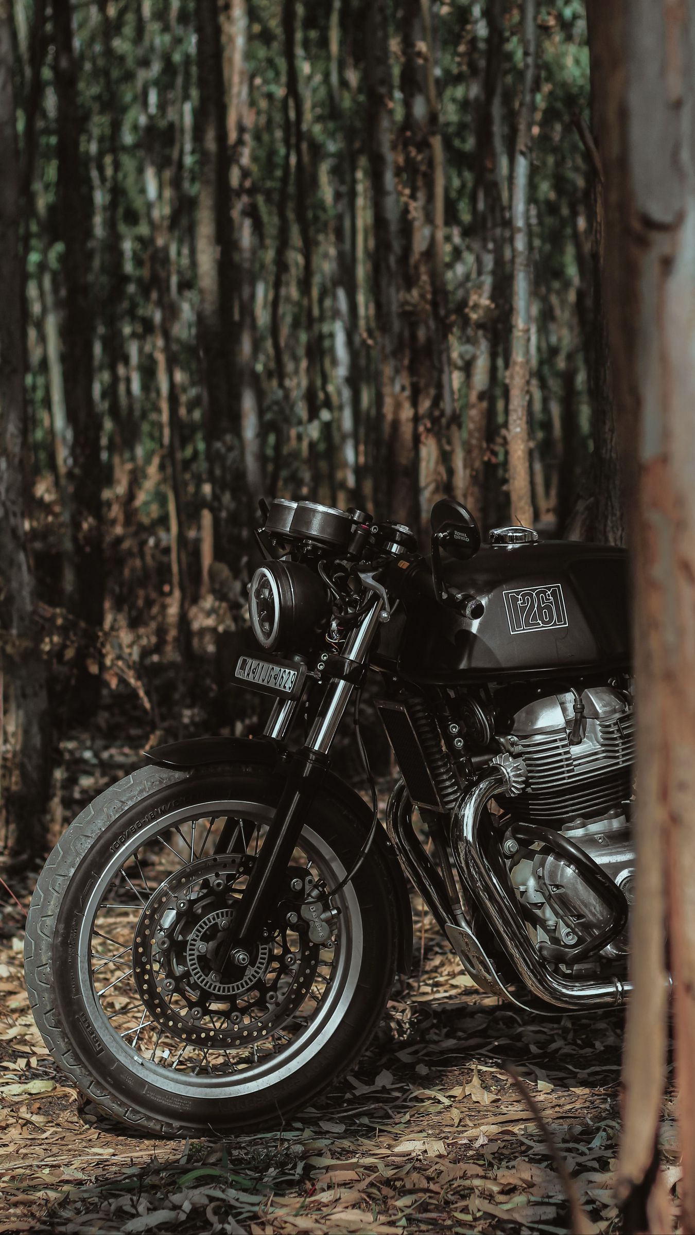 1350x2400 Wallpaper royal enfield, motorcycle, bike, black, forest