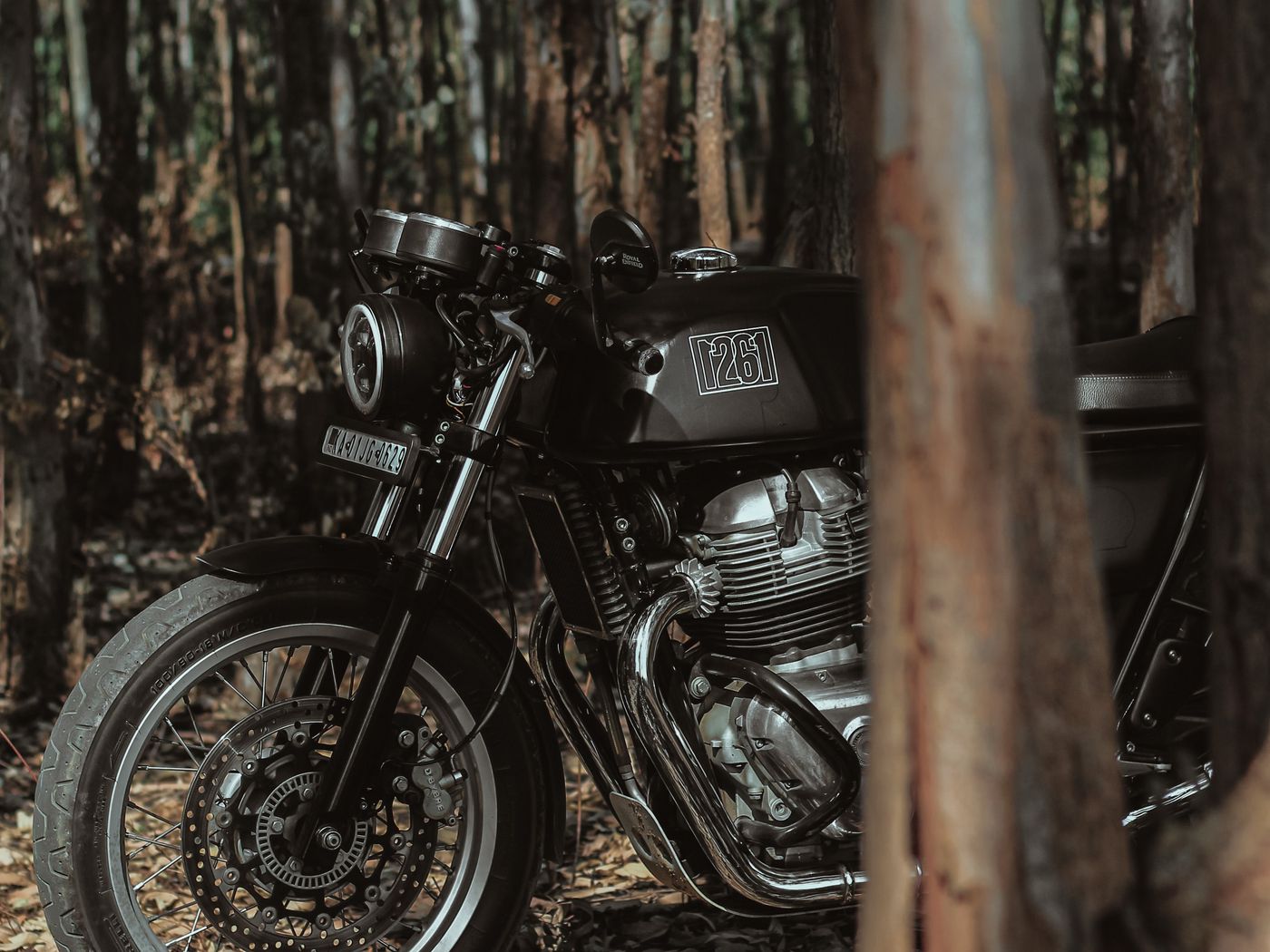 1400x1050 Wallpaper royal enfield, motorcycle, bike, black, forest