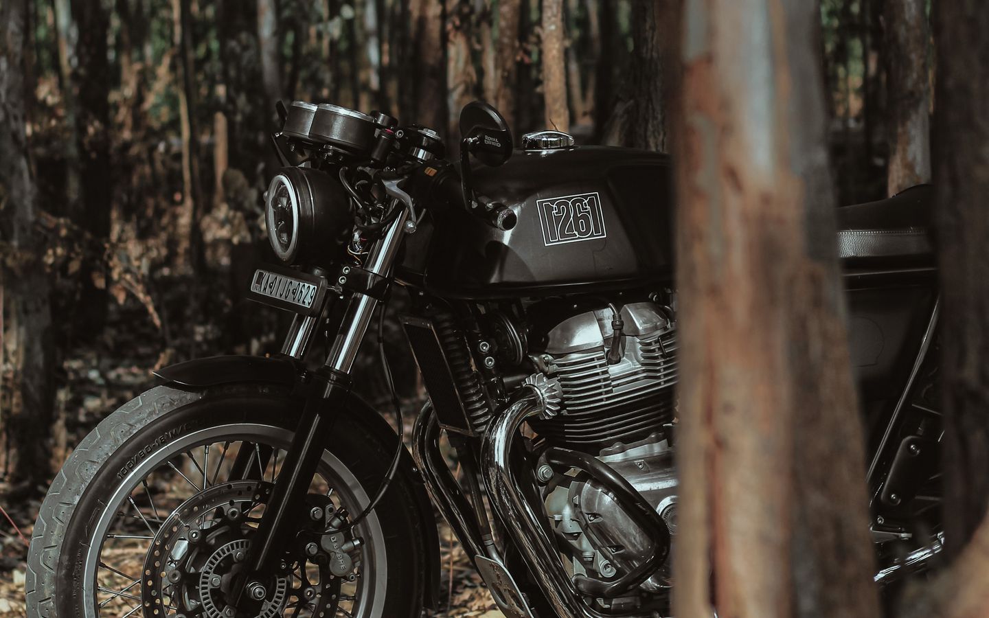 1440x900 Wallpaper royal enfield, motorcycle, bike, black, forest