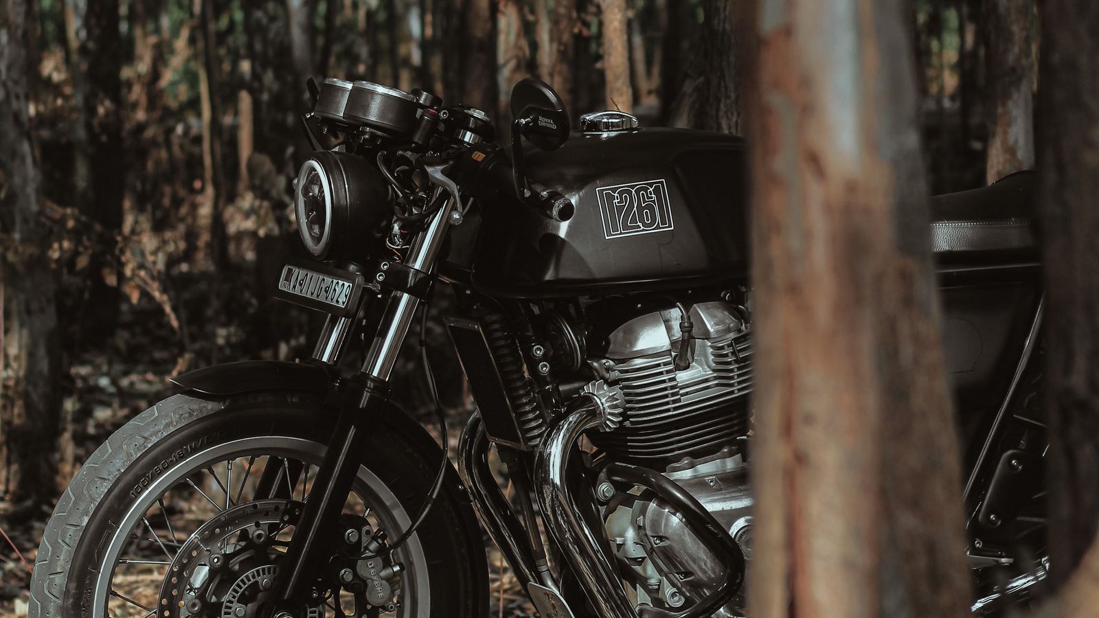 1600x900 Wallpaper royal enfield, motorcycle, bike, black, forest