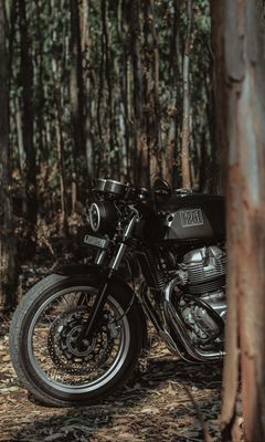 240x400 Wallpaper royal enfield, motorcycle, bike, black, forest