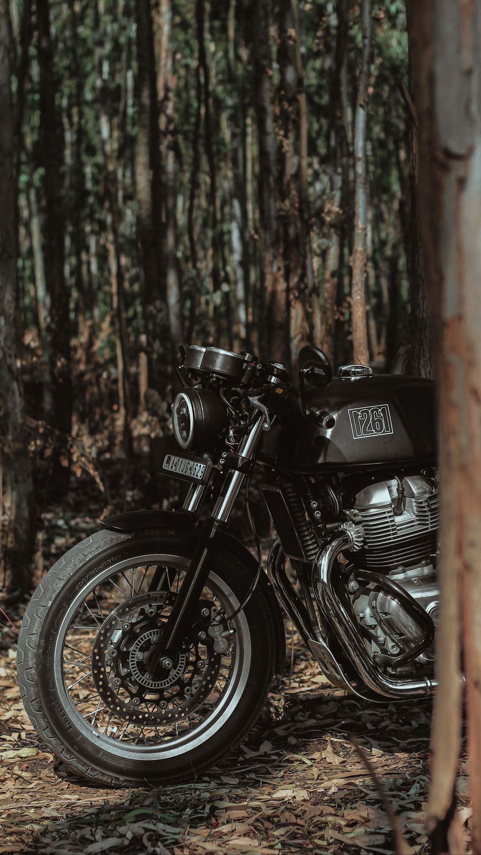 938x1668 Wallpaper royal enfield, motorcycle, bike, black, forest