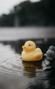 Preview wallpaper rubber duck, duck, toy, puddle, water