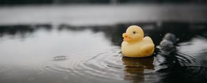 Preview wallpaper rubber duck, duck, toy, puddle, water