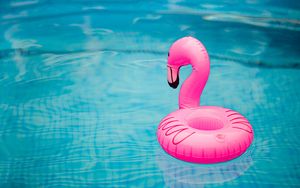 Preview wallpaper rubber ring, flamingo, pool, water, waves