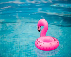Preview wallpaper rubber ring, flamingo, pool, water, waves
