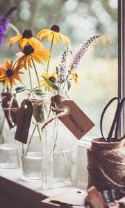 Preview wallpaper rudbeckia, flowers, petals, vase, aesthetics