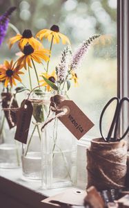 Preview wallpaper rudbeckia, flowers, petals, vase, aesthetics