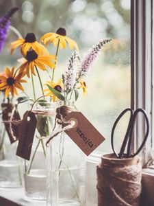 Preview wallpaper rudbeckia, flowers, petals, vase, aesthetics