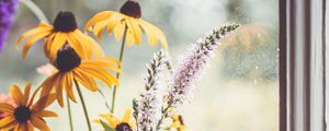 Preview wallpaper rudbeckia, flowers, petals, vase, aesthetics