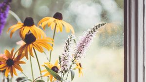 Preview wallpaper rudbeckia, flowers, petals, vase, aesthetics