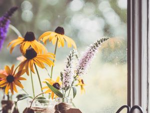 Preview wallpaper rudbeckia, flowers, petals, vase, aesthetics