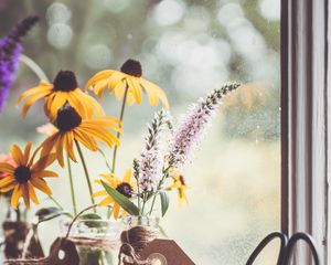 Preview wallpaper rudbeckia, flowers, petals, vase, aesthetics