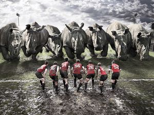 Preview wallpaper rugby, team, rhinos, dirt, field