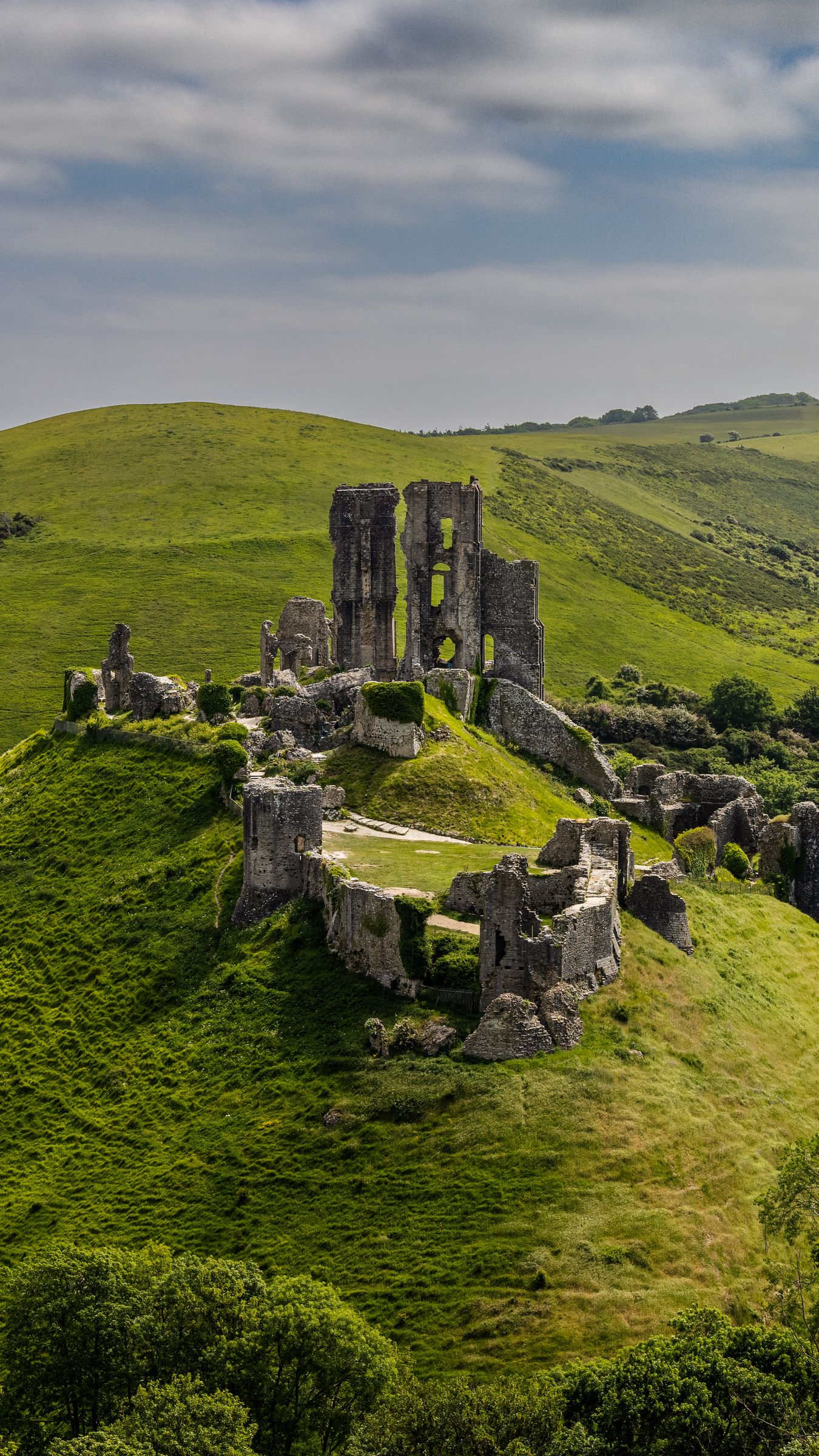 Tayler Hills' Reputation In Ruins After This Leak