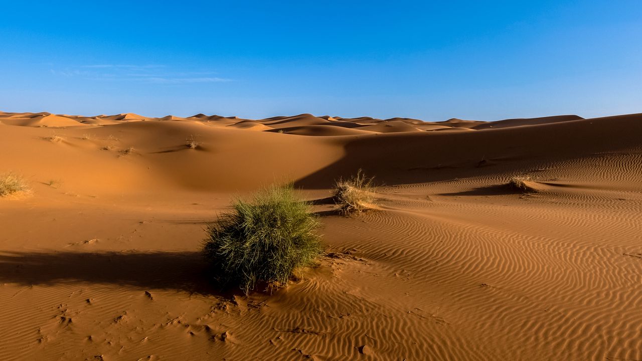Wallpaper sahara, desert, sand, sky