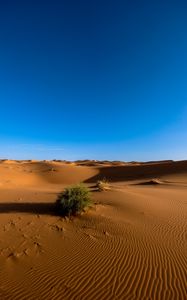 Preview wallpaper sahara, desert, sand, sky