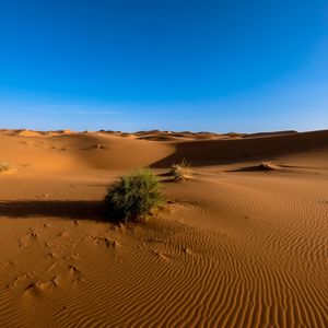 Preview wallpaper sahara, desert, sand, sky