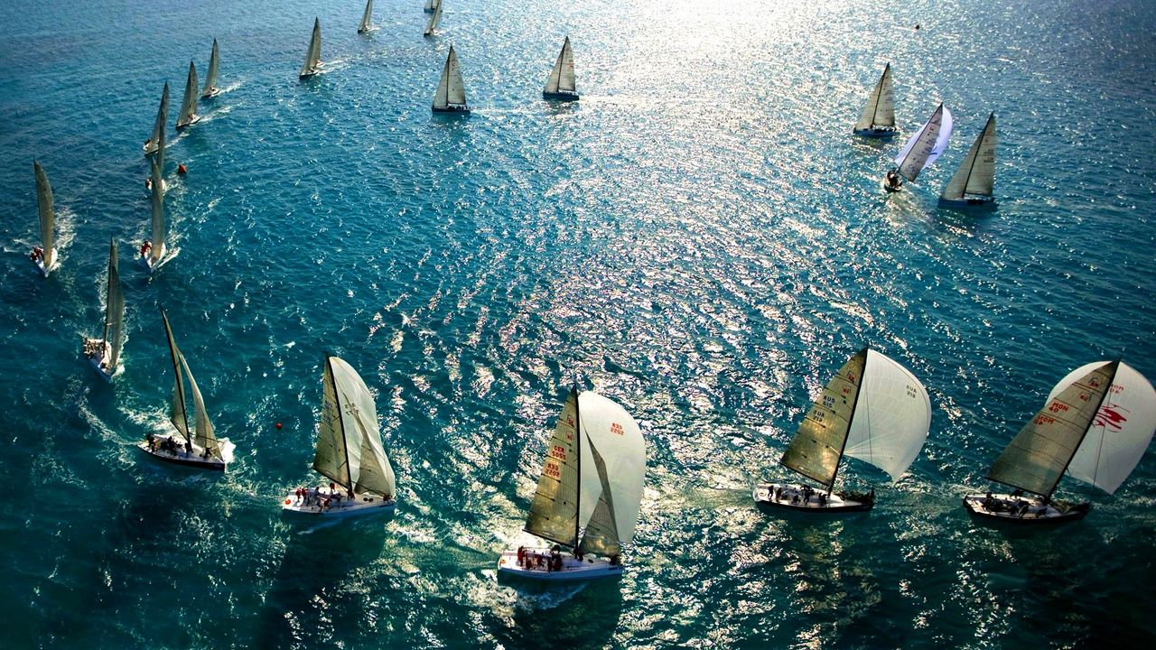 Wallpaper sail, sea, swimming, many