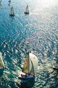 Preview wallpaper sail, sea, swimming, many