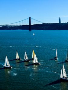 Preview wallpaper sails, sea, swim