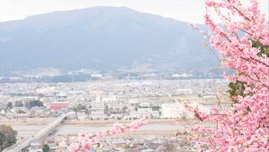 Preview wallpaper sakura, city, spring, light, japan