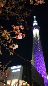 Preview wallpaper sakura, flowers, branches, tower, backlight, dark