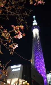 Preview wallpaper sakura, flowers, branches, tower, backlight, dark