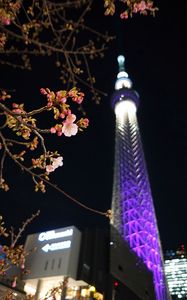Preview wallpaper sakura, flowers, branches, tower, backlight, dark
