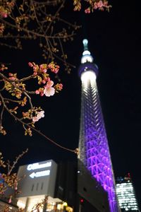 Preview wallpaper sakura, flowers, branches, tower, backlight, dark