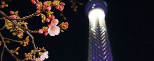 Preview wallpaper sakura, flowers, branches, tower, backlight, dark