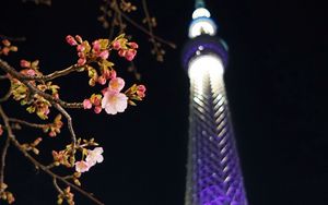 Preview wallpaper sakura, flowers, branches, tower, backlight, dark