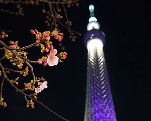 Preview wallpaper sakura, flowers, branches, tower, backlight, dark