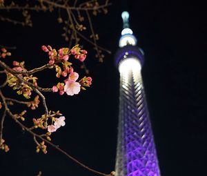 Preview wallpaper sakura, flowers, branches, tower, backlight, dark