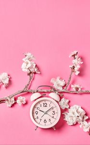 Preview wallpaper sakura, flowers, clock, alarm clock, minimalism, pink