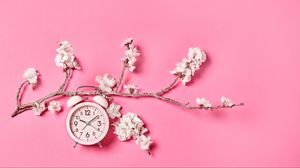 Preview wallpaper sakura, flowers, clock, alarm clock, minimalism, pink