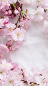 Preview wallpaper sakura, flowers, petals, branches, spring, pink