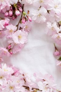 Preview wallpaper sakura, flowers, petals, branches, spring, pink