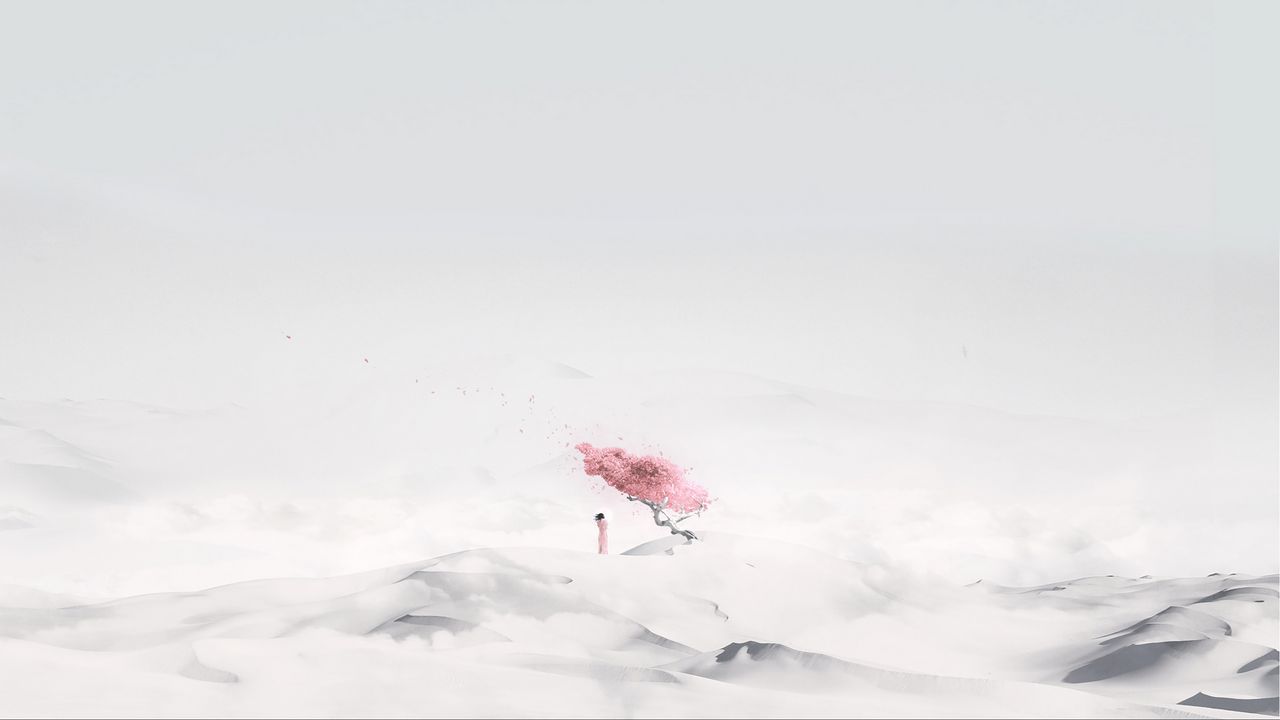 Wallpaper sakura, girl, minimalism, desert