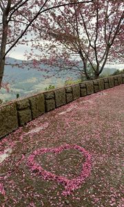 Preview wallpaper sakura, petals, heart, bloom, pink