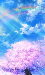 Preview wallpaper sakura, rainbow, art, bloom, sky, clouds