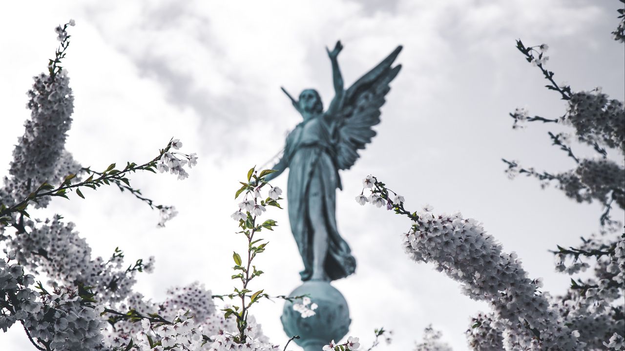 Wallpaper sakura, statue, angel, flowers, bloom, branches