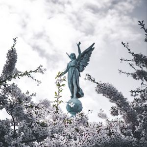 Preview wallpaper sakura, statue, angel, flowers, bloom, branches