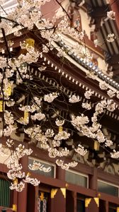 Preview wallpaper sakura, temple, pagoda, japan, spring