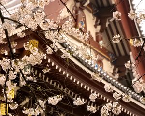 Preview wallpaper sakura, temple, pagoda, japan, spring