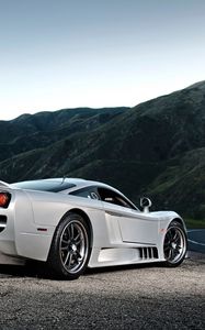 Preview wallpaper saleen, s7, rear view, silver